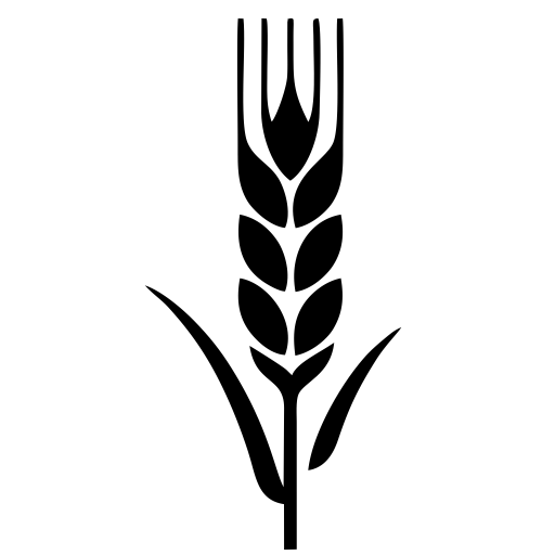 trigo